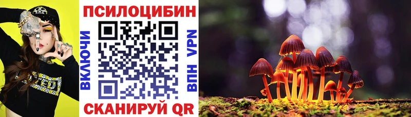 Псилоцибиновые грибы GOLDEN TEACHER  купить наркоту  нарко площадка состав  Комсомольск-на-Амуре 