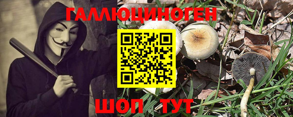 Псилоцибиновые грибы мухоморы Комсомольск-на-Амуре