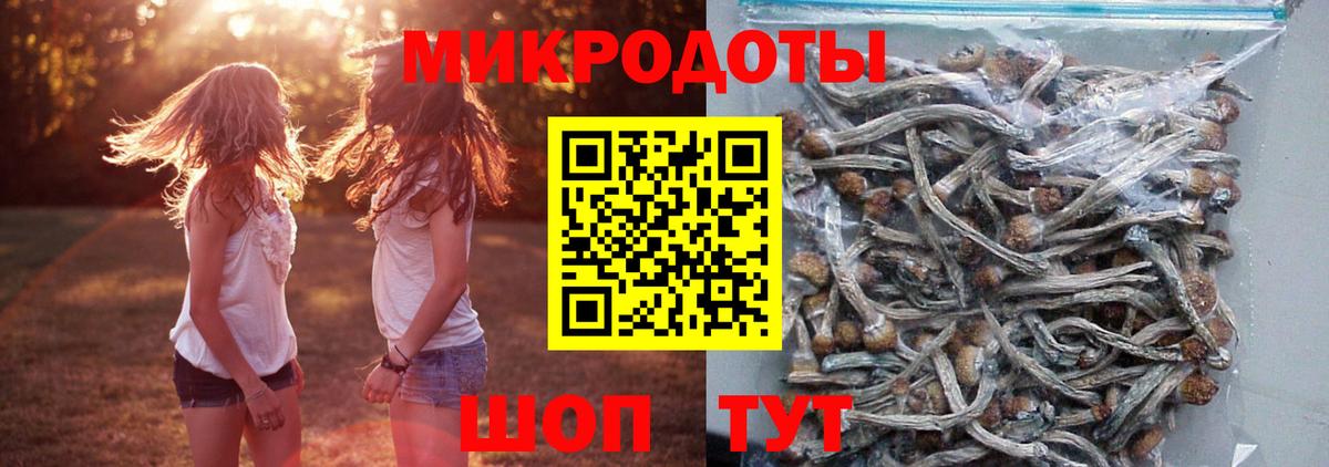 Псилоцибиновые грибы прущие грибы  Вход с VPN  Галлюциногенные грибы мухоморы  Комсомольск-на-Амуре 
